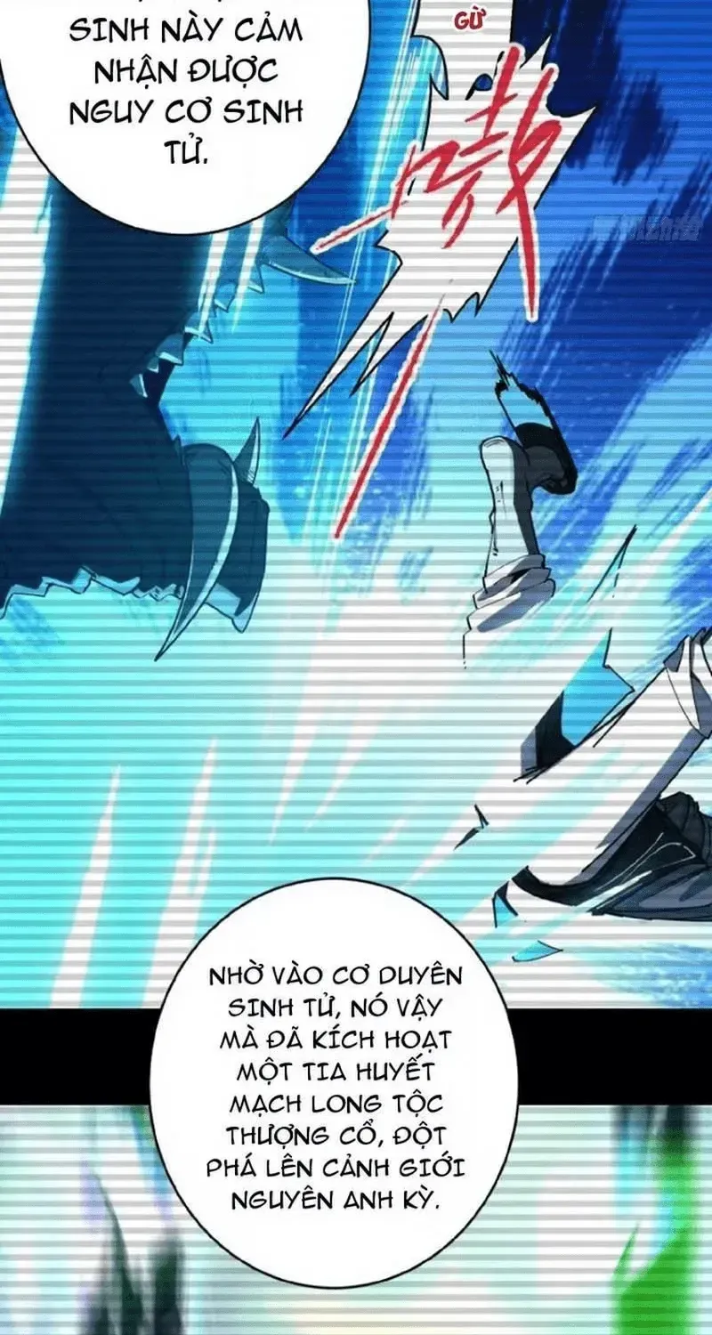 Chapter 21 - Trang 46