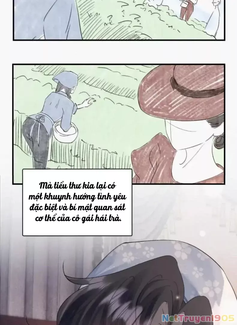 Chapter 41 - Trang 34
