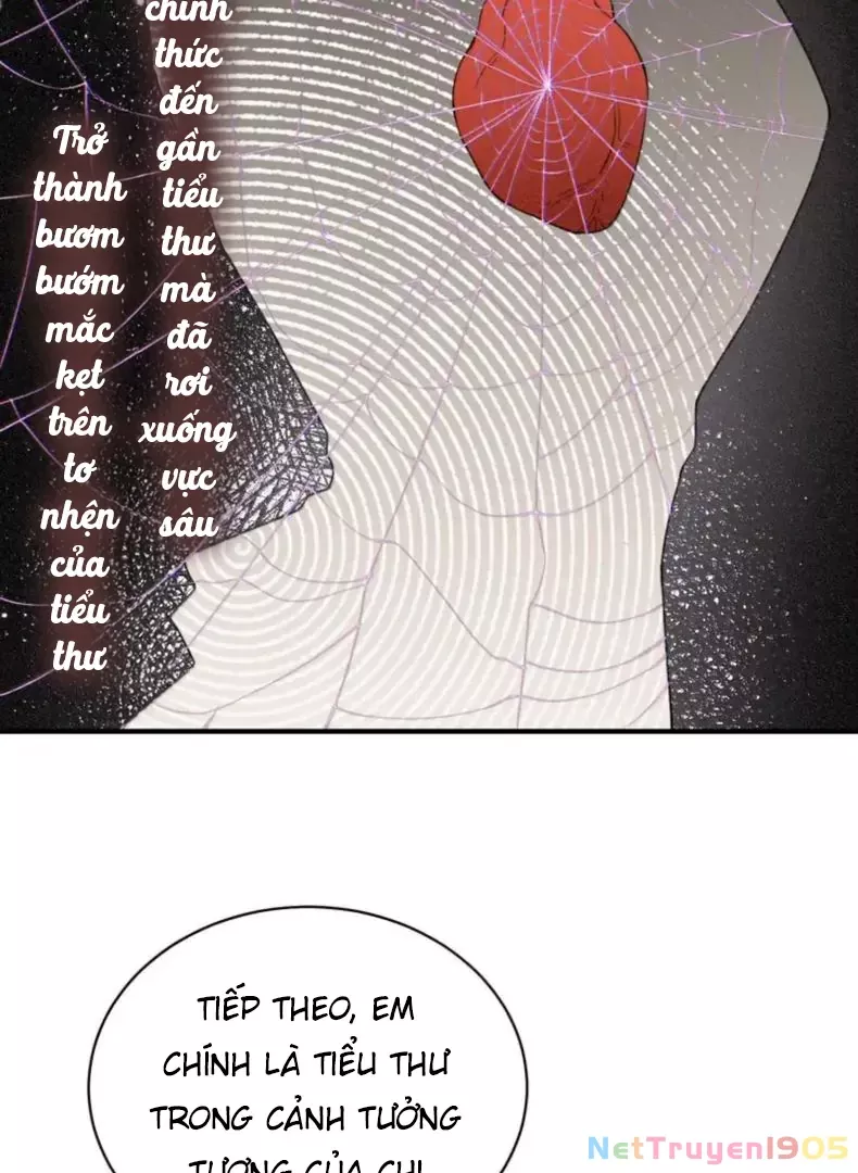 Chapter 41 - Trang 47