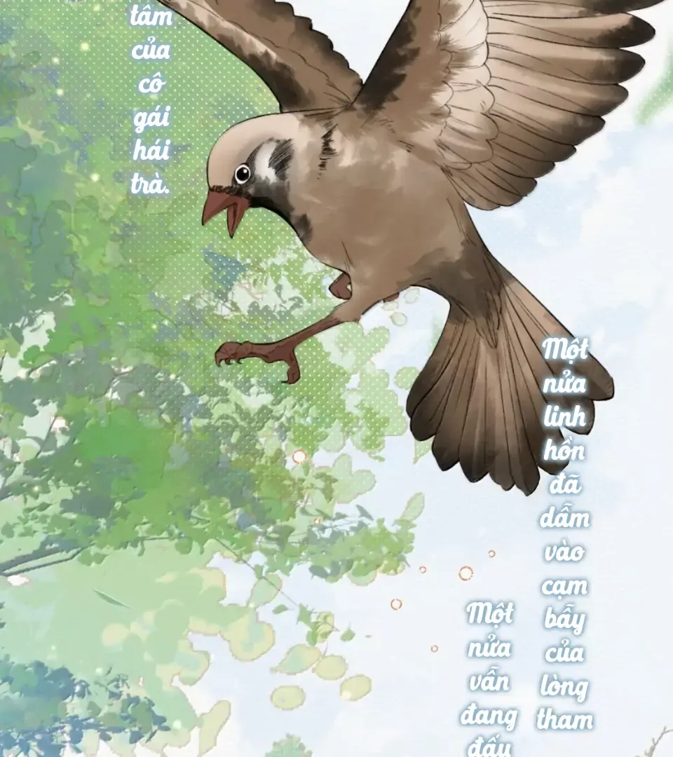 Chapter 42 - Trang 15