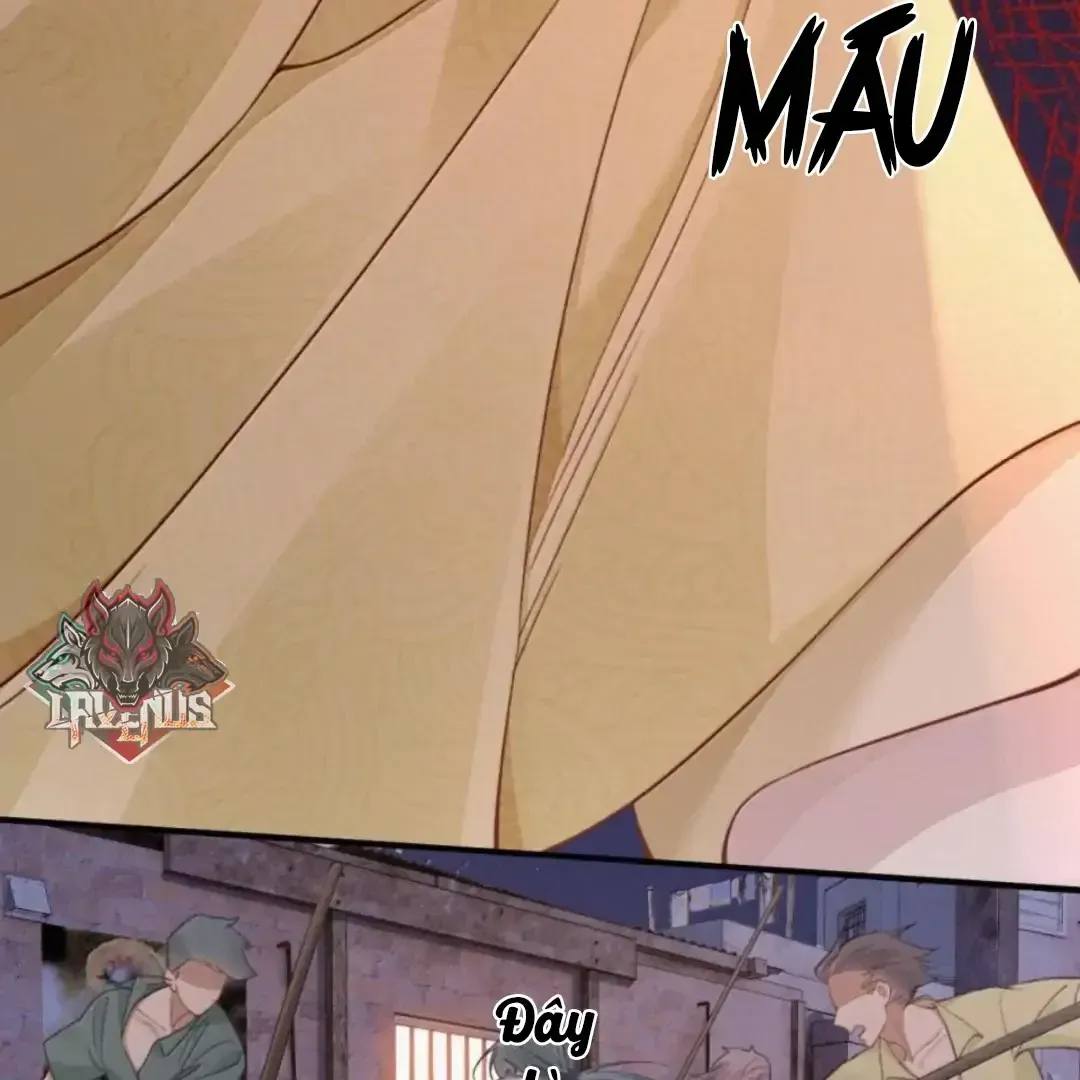 Chapter 49 - Trang 70