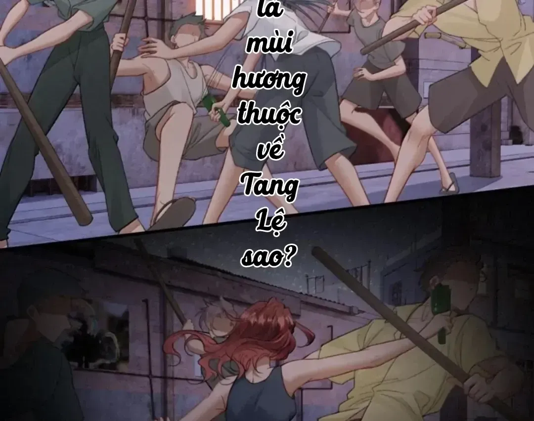 Chapter 49 - Trang 71