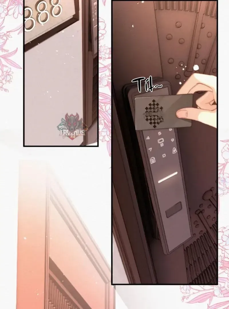 Chapter 54 - Trang 15