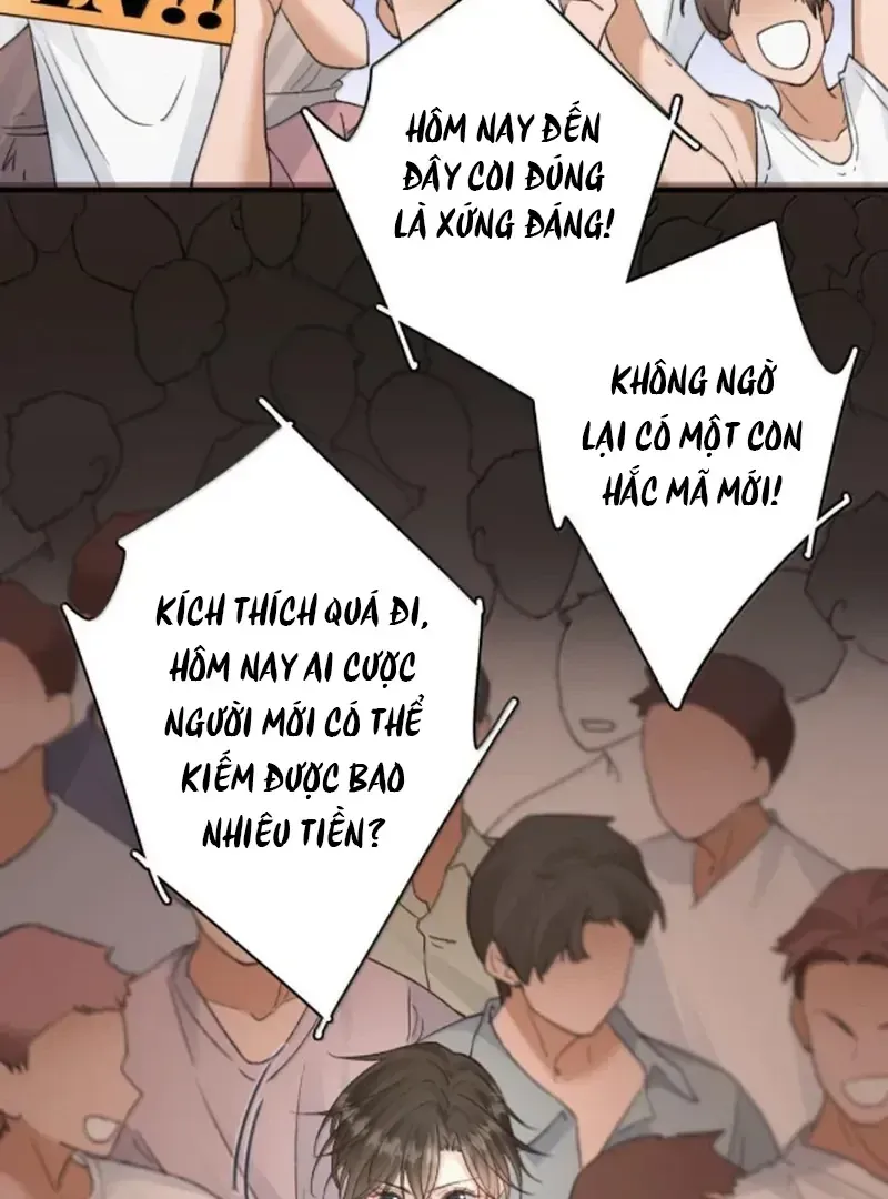 Chapter 54 - Trang 3