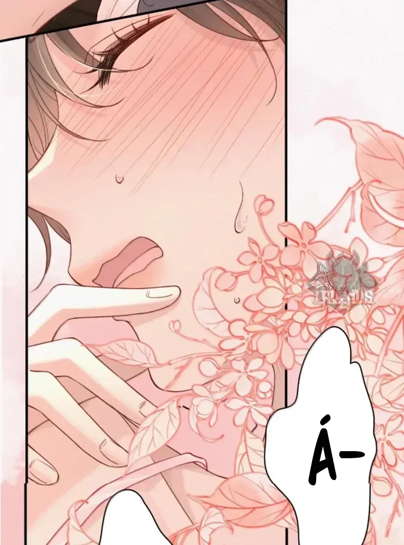 Chapter 55 - Trang 27