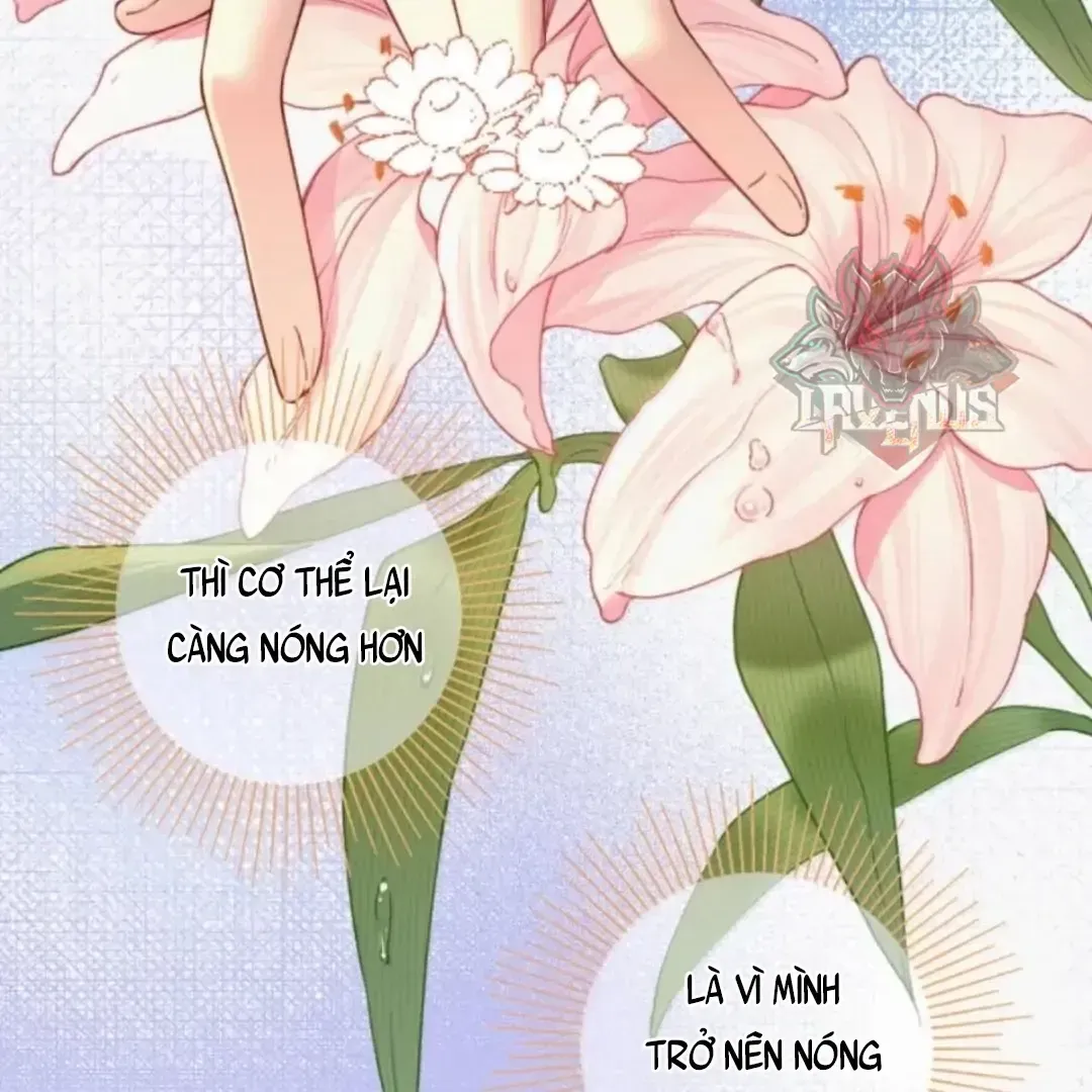 Chapter 56 - Trang 29