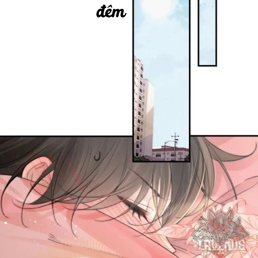 Chapter 56 - Trang 36
