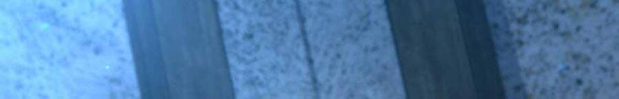 Chapter 158.1 - Trang 30