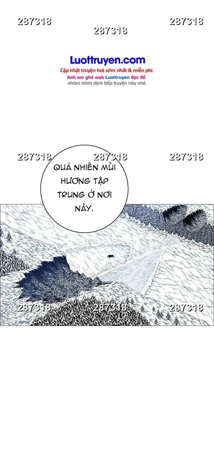 Chapter 229 - Trang 14