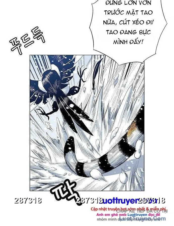 Chapter 229 - Trang 19