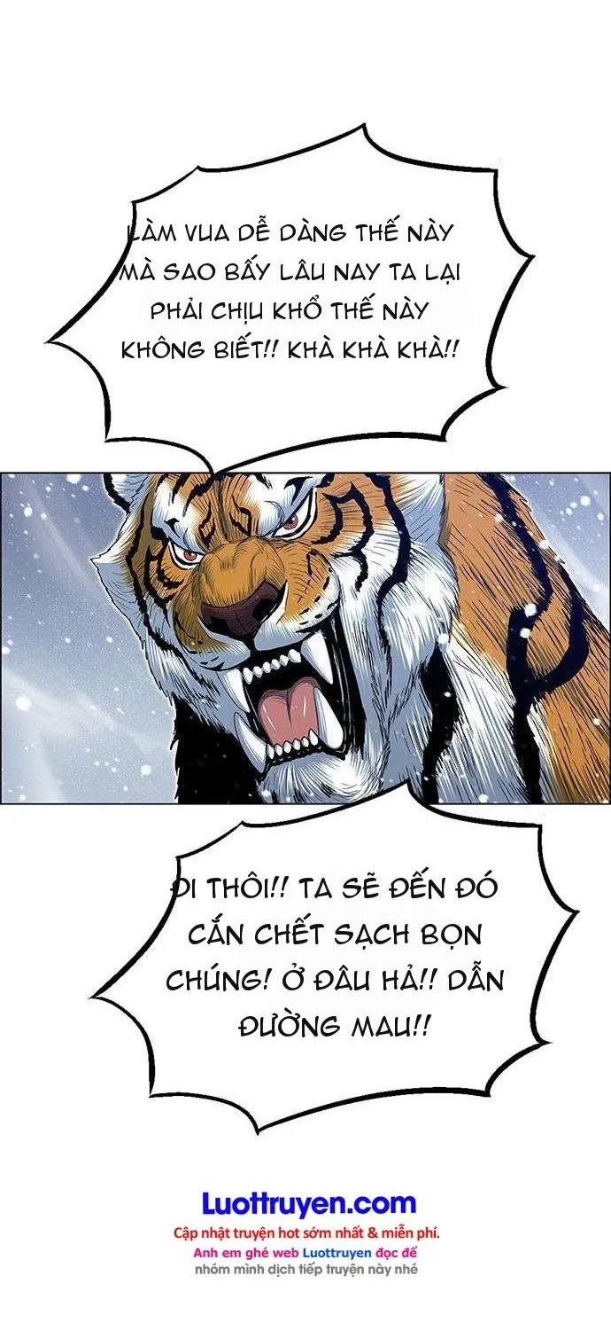 Chapter 232 - Trang 13