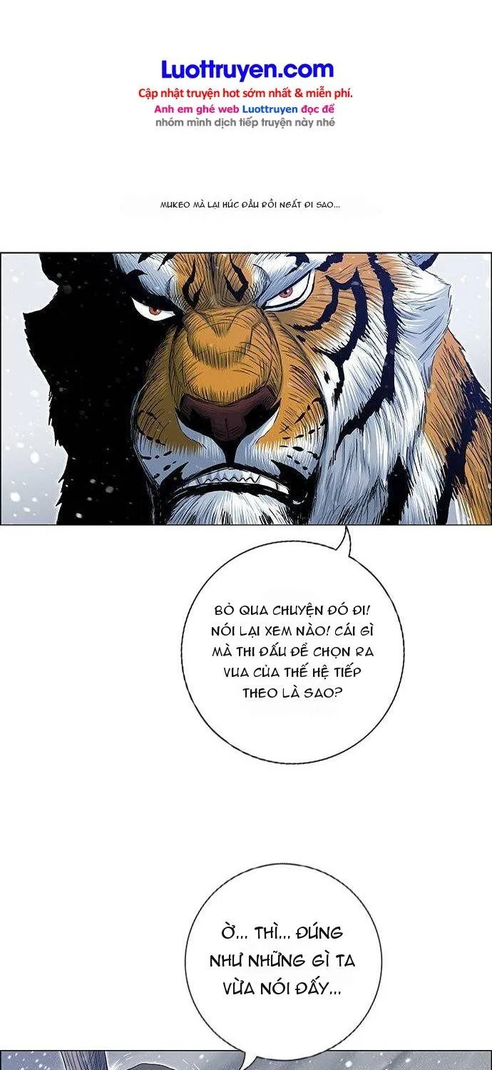 Chapter 232 - Trang 5