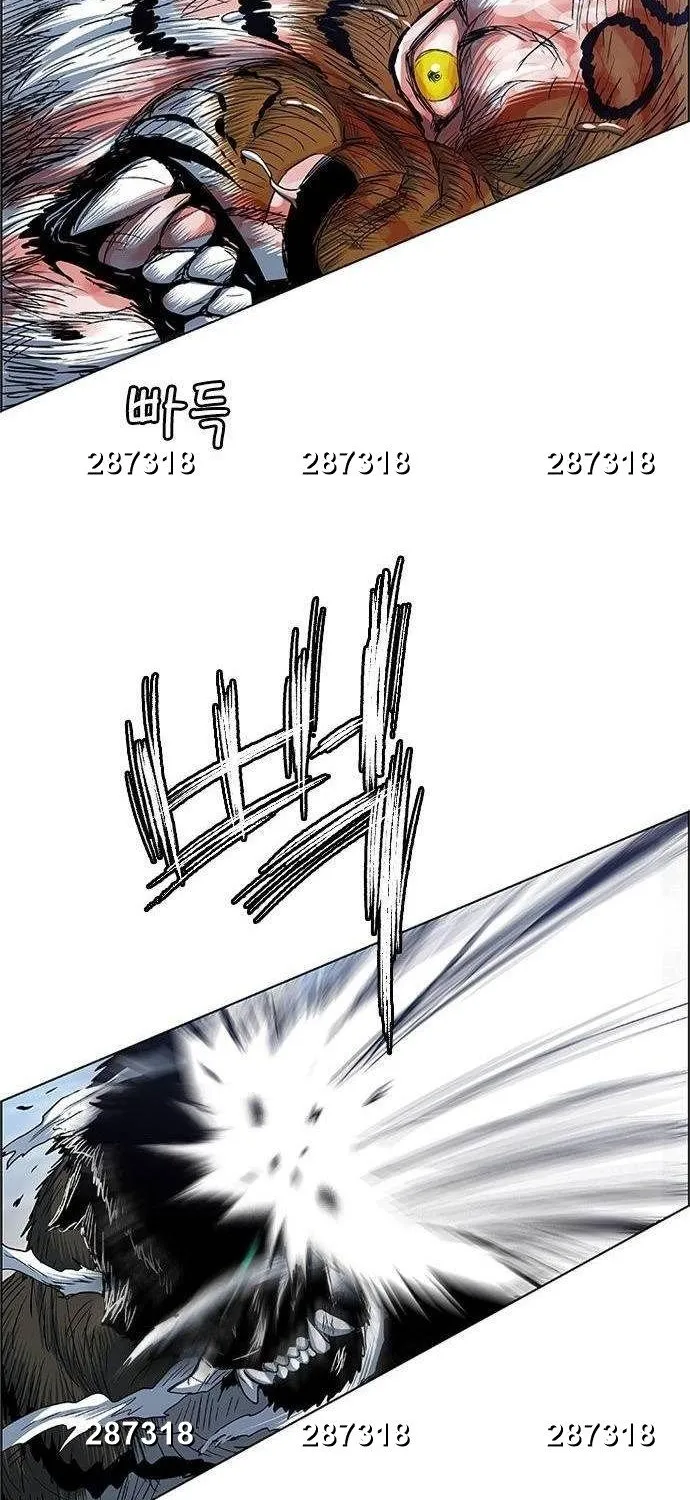 Chapter 249 - Trang 17