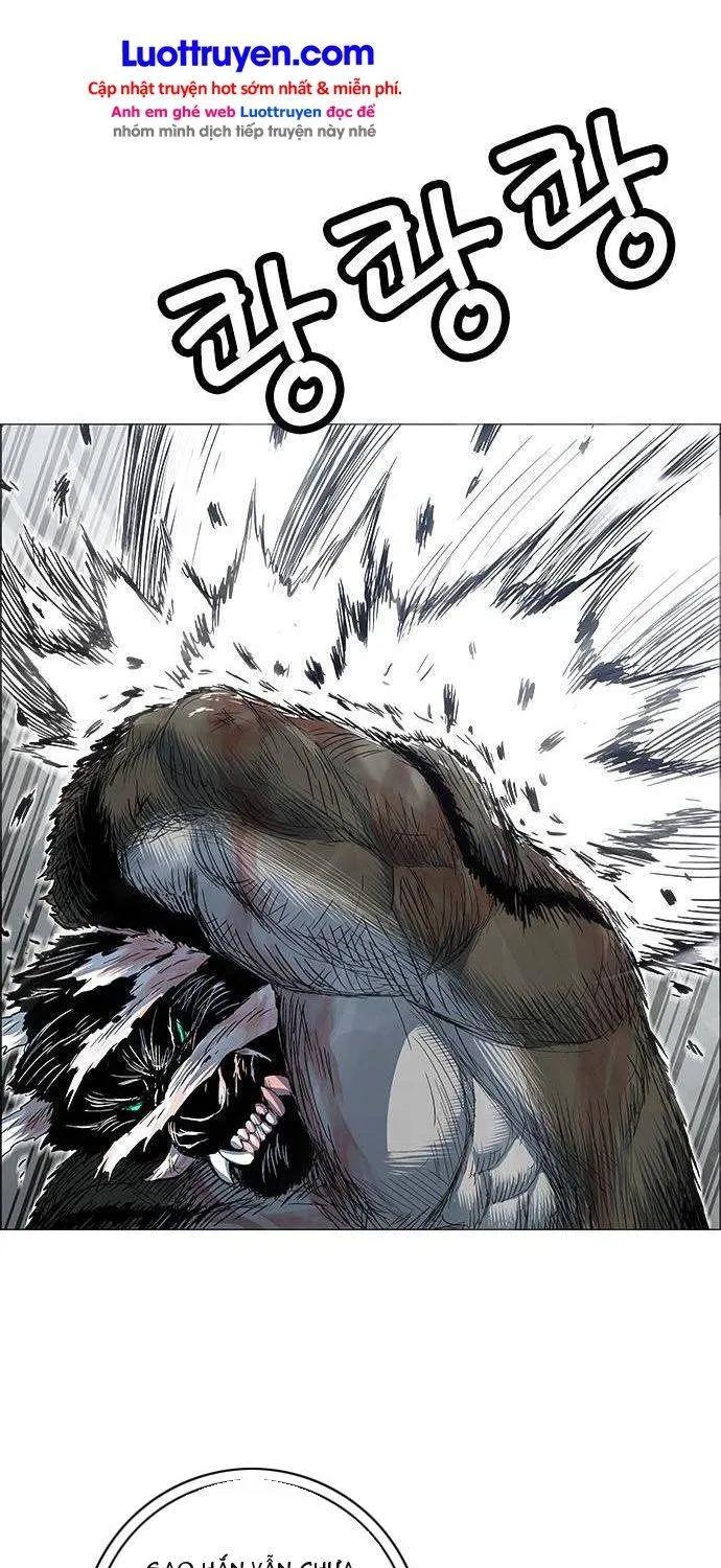 Chapter 249 - Trang 25