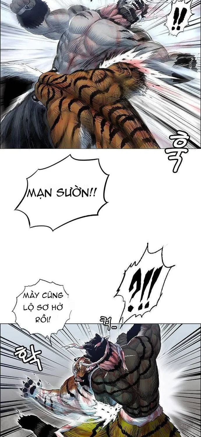 Chapter 249 - Trang 37