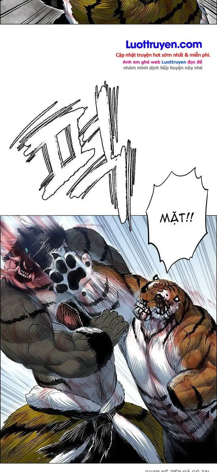 Chapter 249 - Trang 38