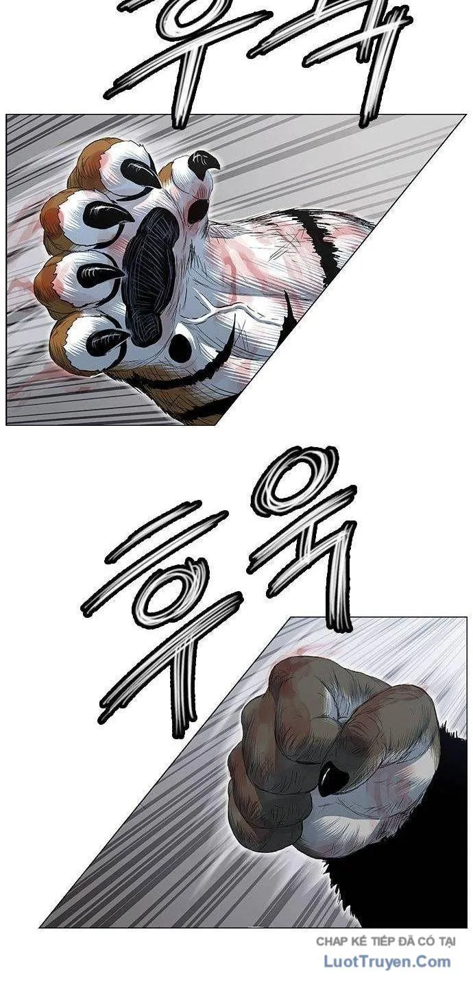 Chapter 249 - Trang 6