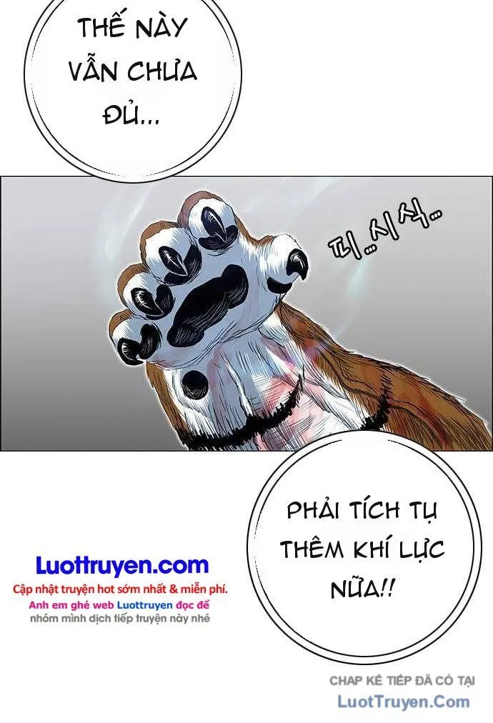 Chapter 249 - Trang 60