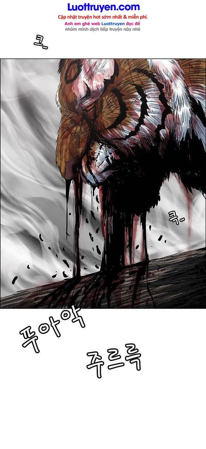 Chapter 251 - Trang 36