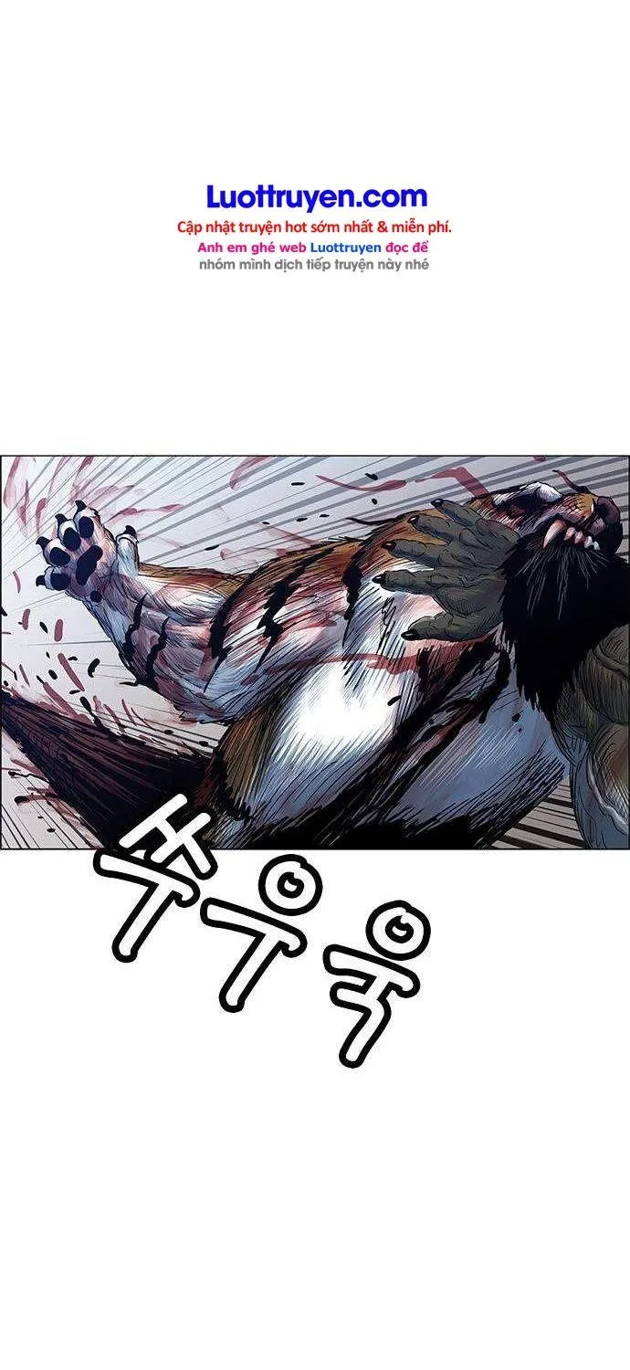 Chapter 251 - Trang 53