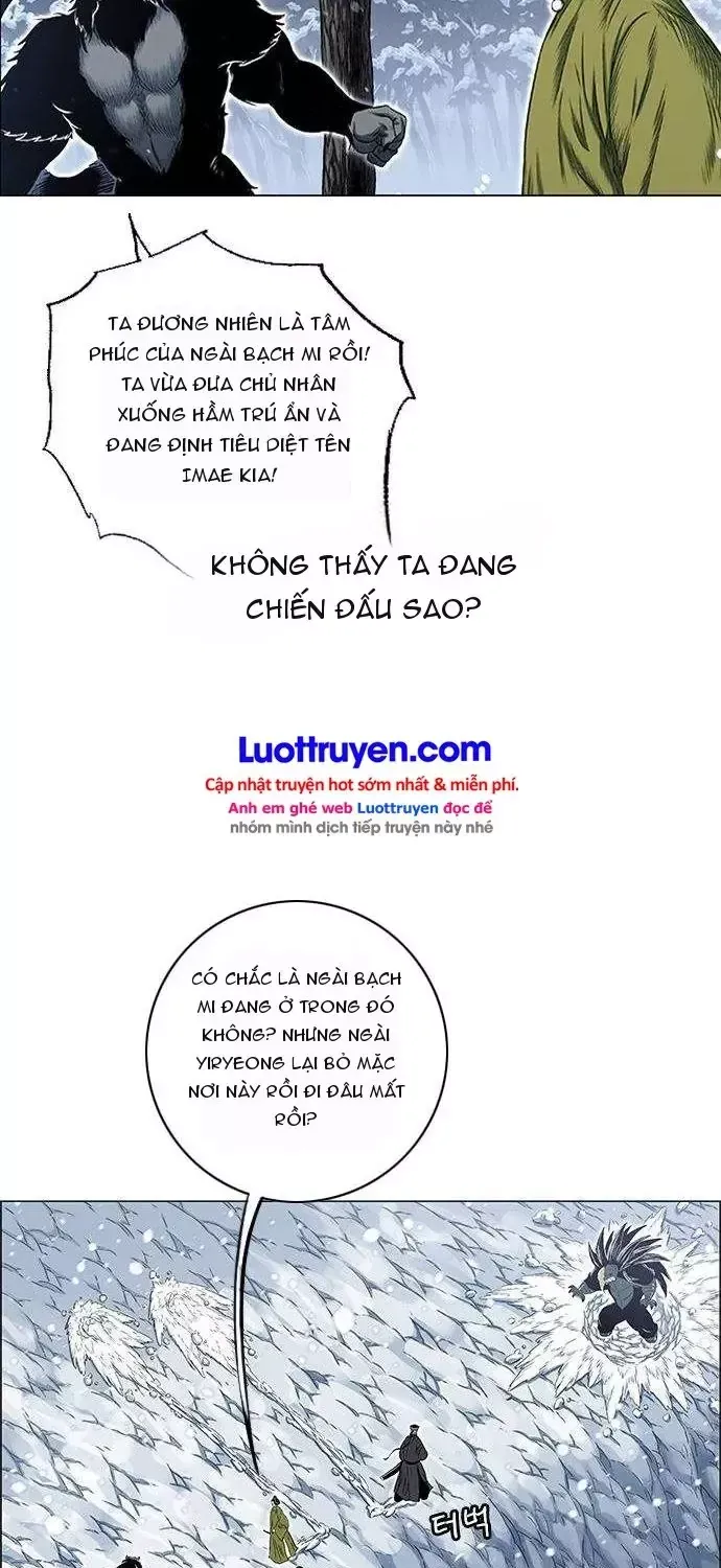 Chapter 260 - Trang 19