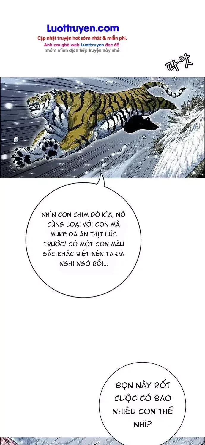 Chapter 268 - Trang 90