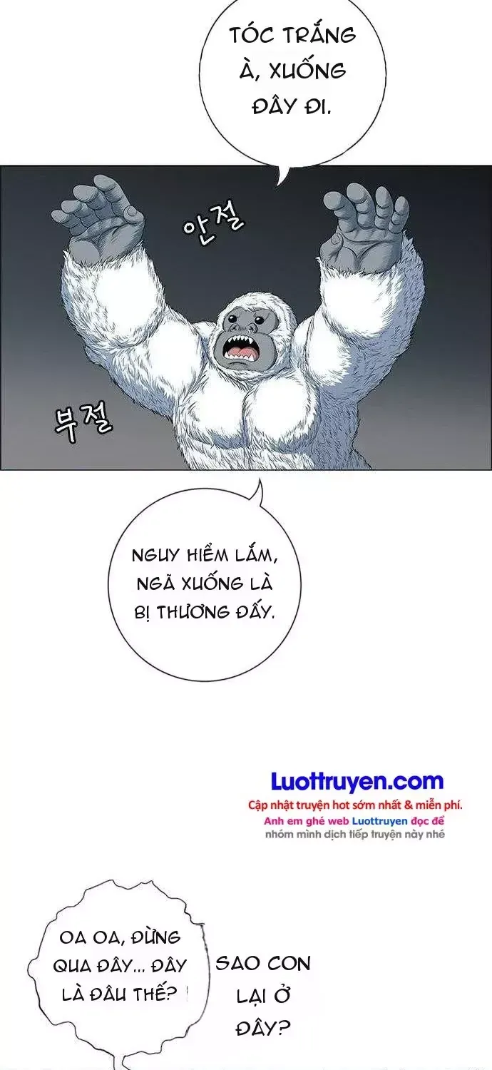 Chapter 271 - Trang 11