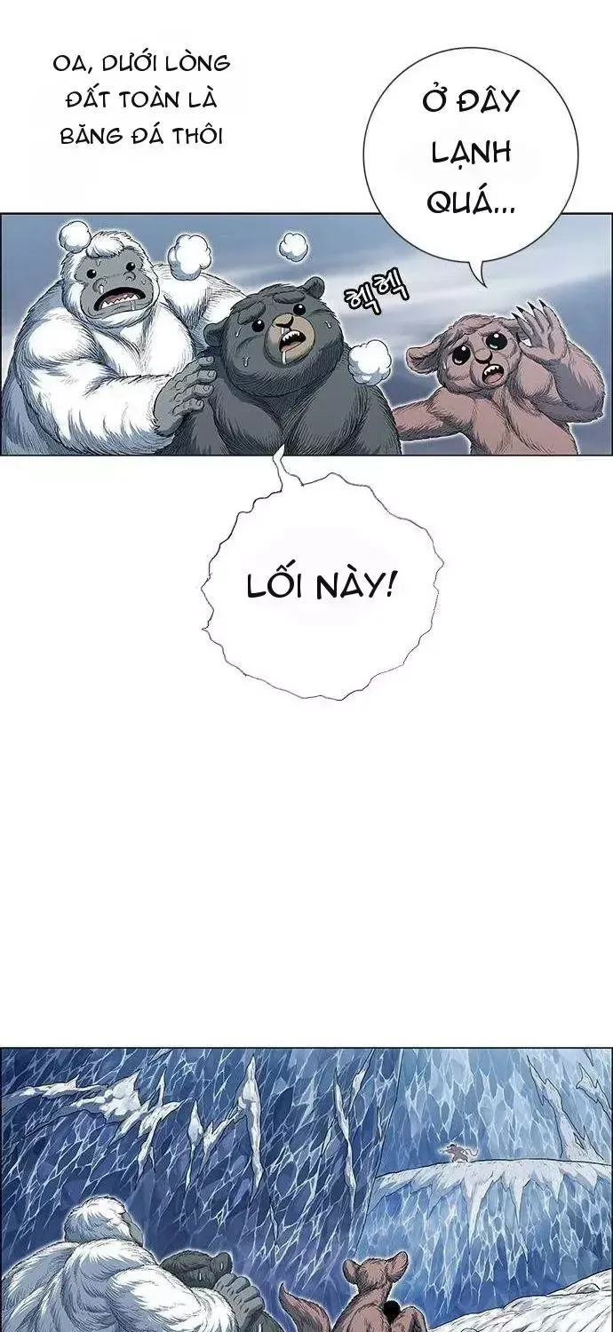 Chapter 271 - Trang 115