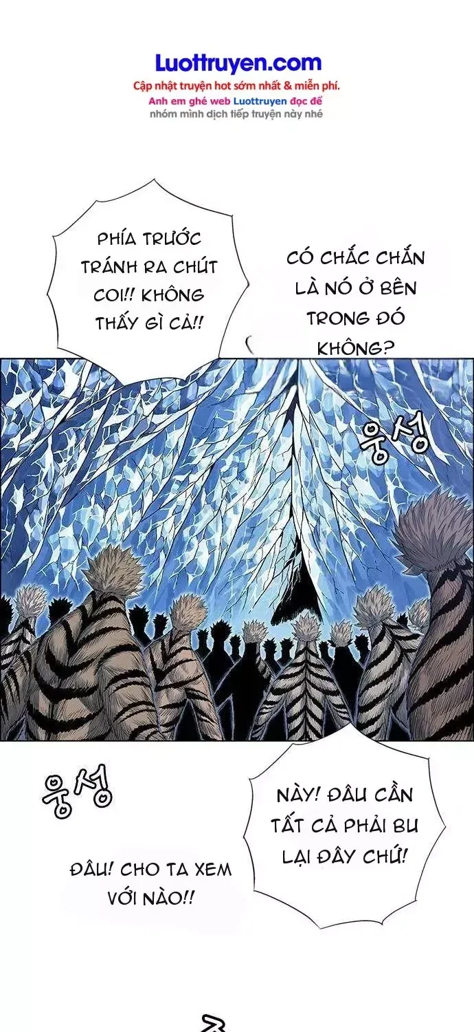 Chapter 272 - Trang 46