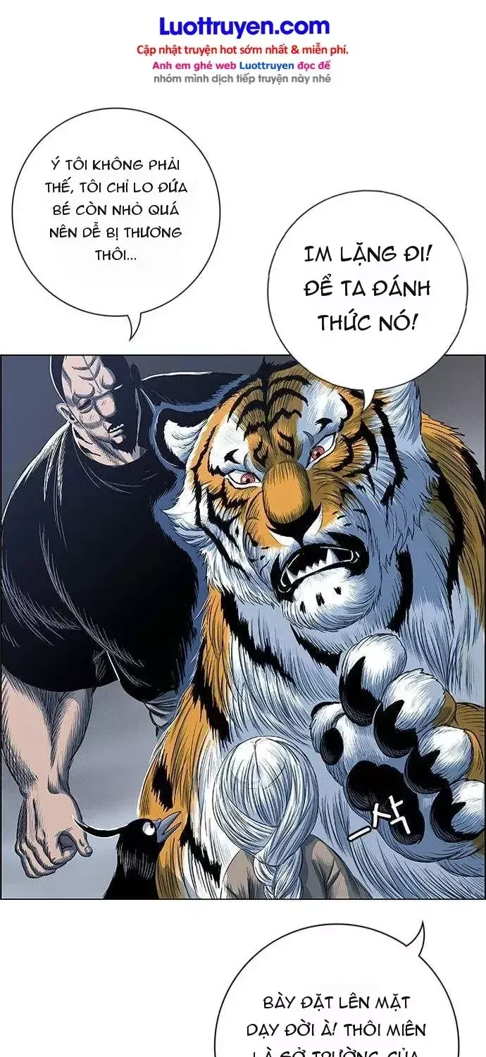 Chapter 286 - Trang 13