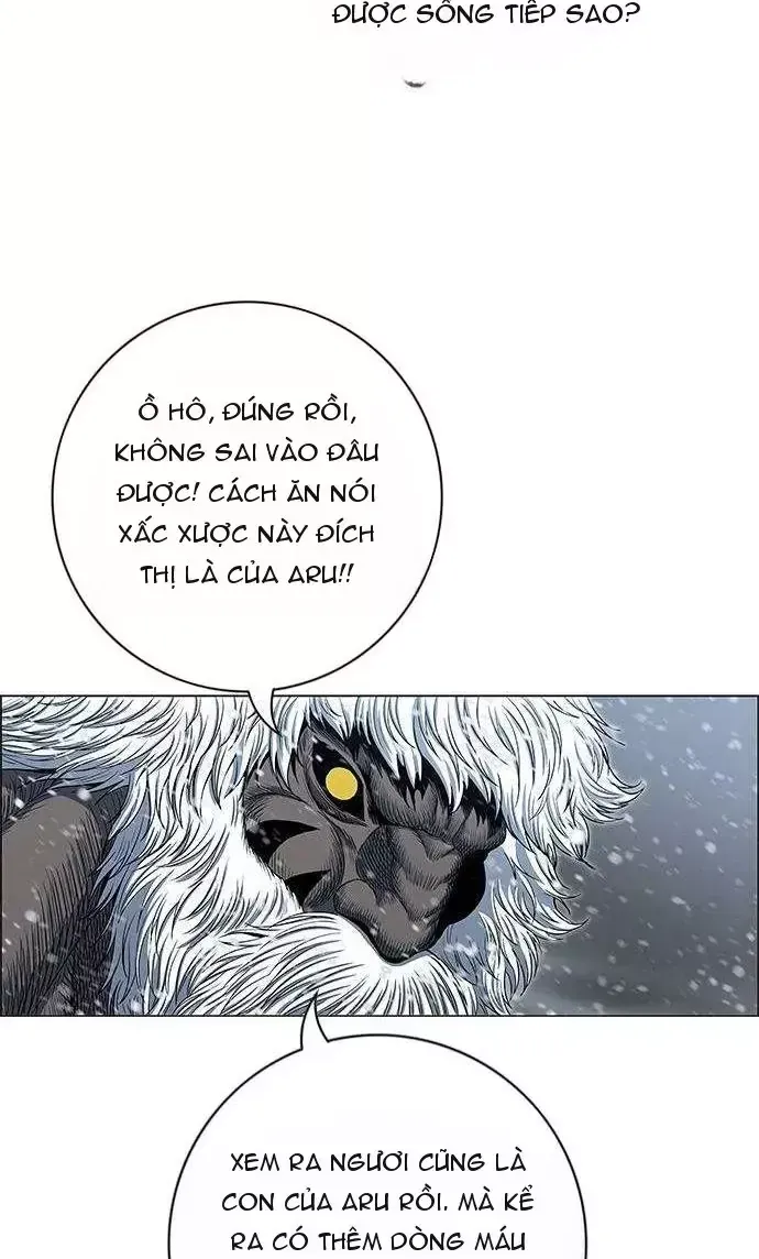 Chapter 289 - Trang 31