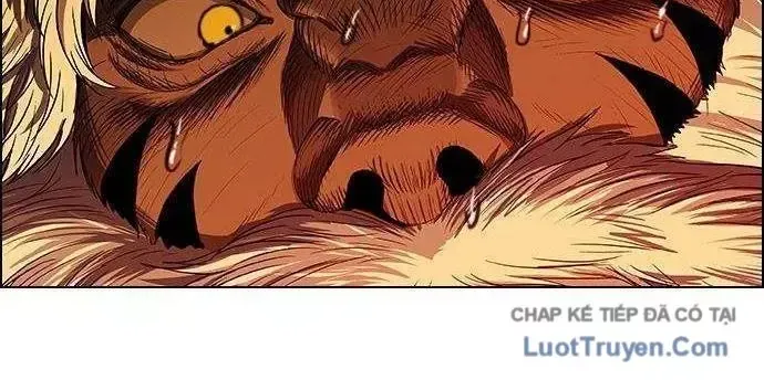 Chapter 291 - Trang 104