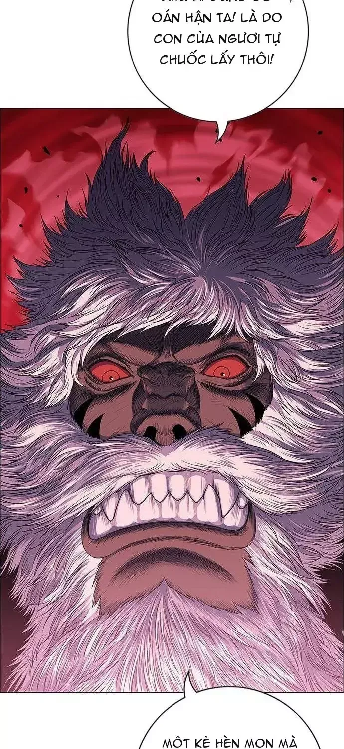 Chapter 291 - Trang 13