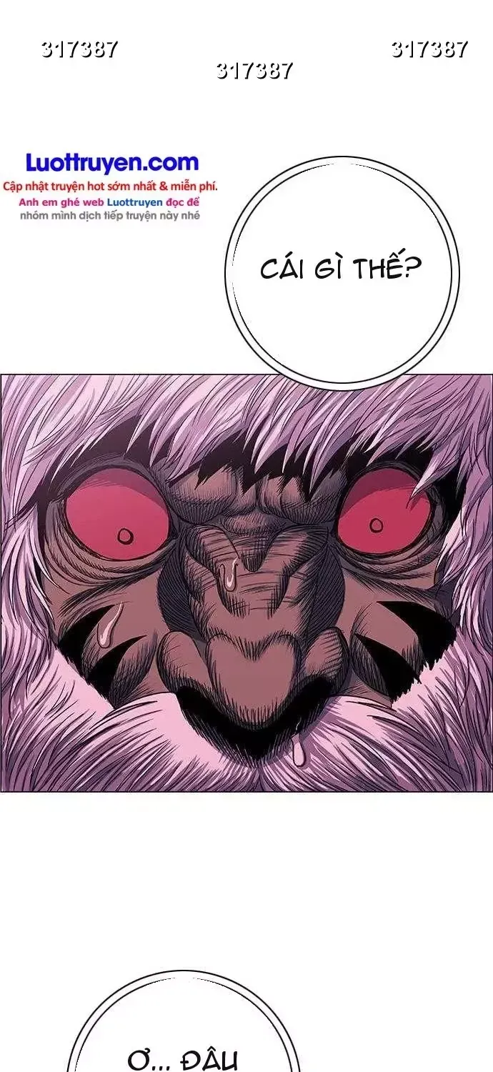 Chapter 291 - Trang 27