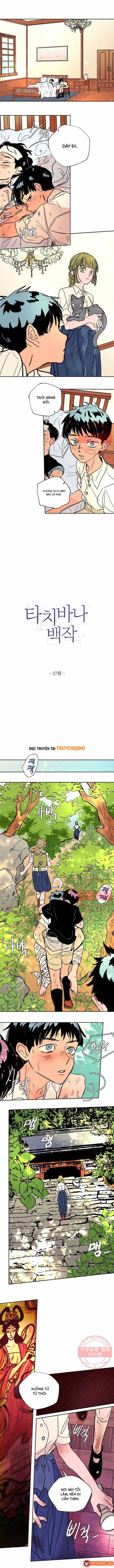 Chương 37 - Trang 2