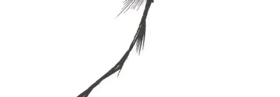 Chapter 52 - Trang 27