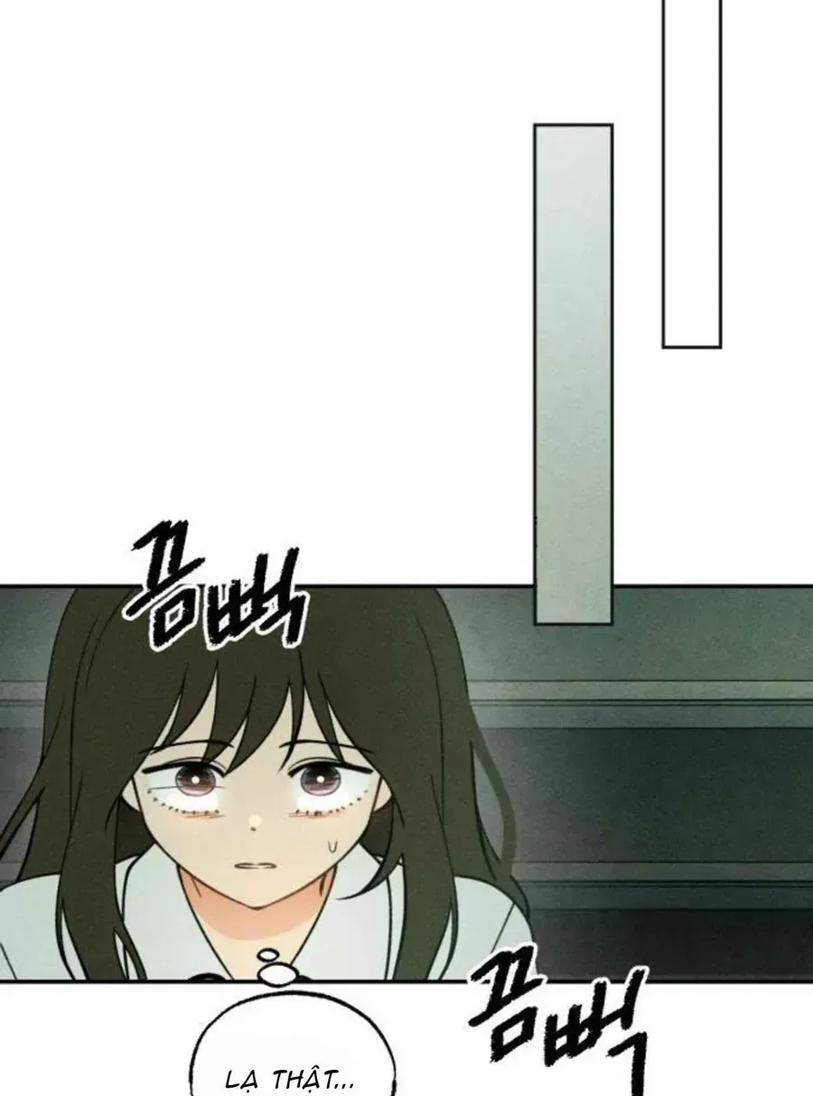 Chapter 56 - Trang 95