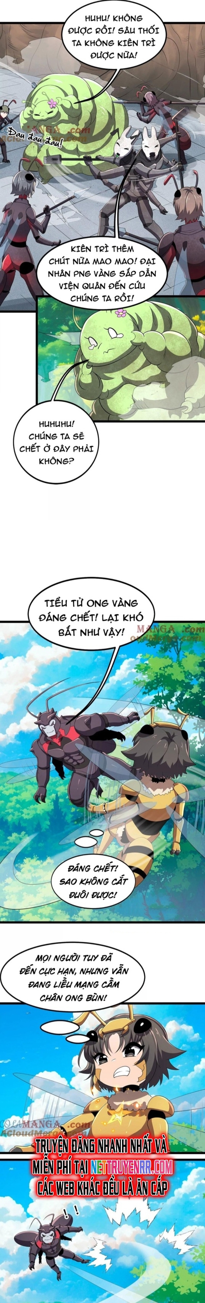 Trang 13
