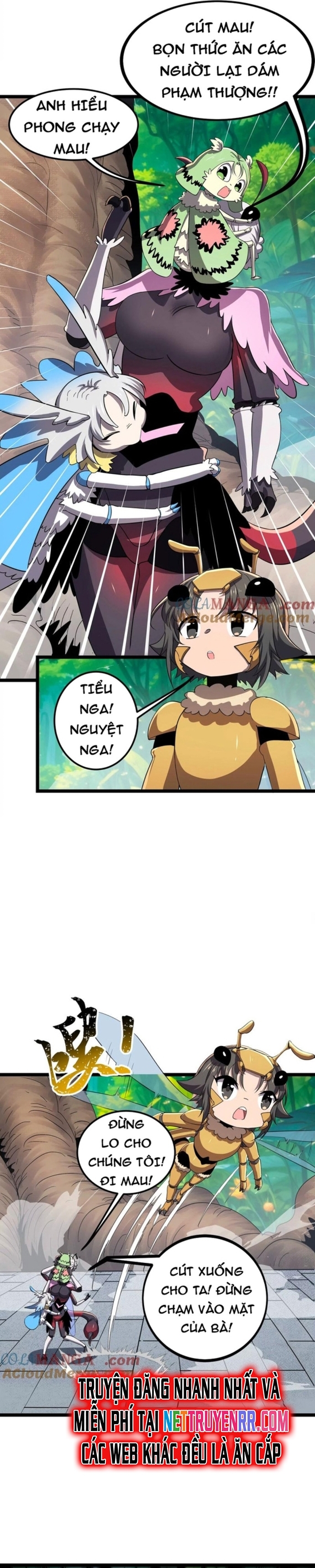 Trang 6
