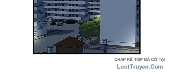 Chapter 22 - Trang 41