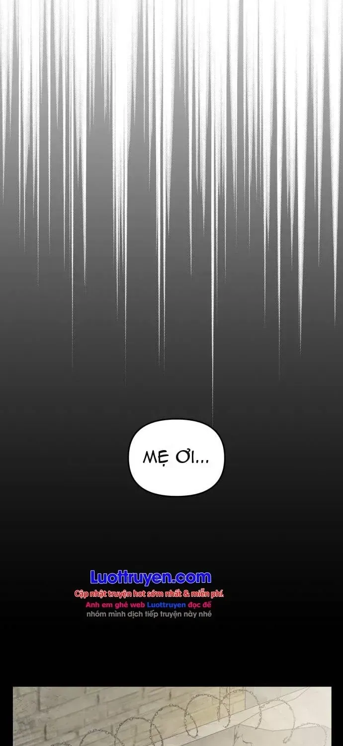 Chapter 27 - Trang 15