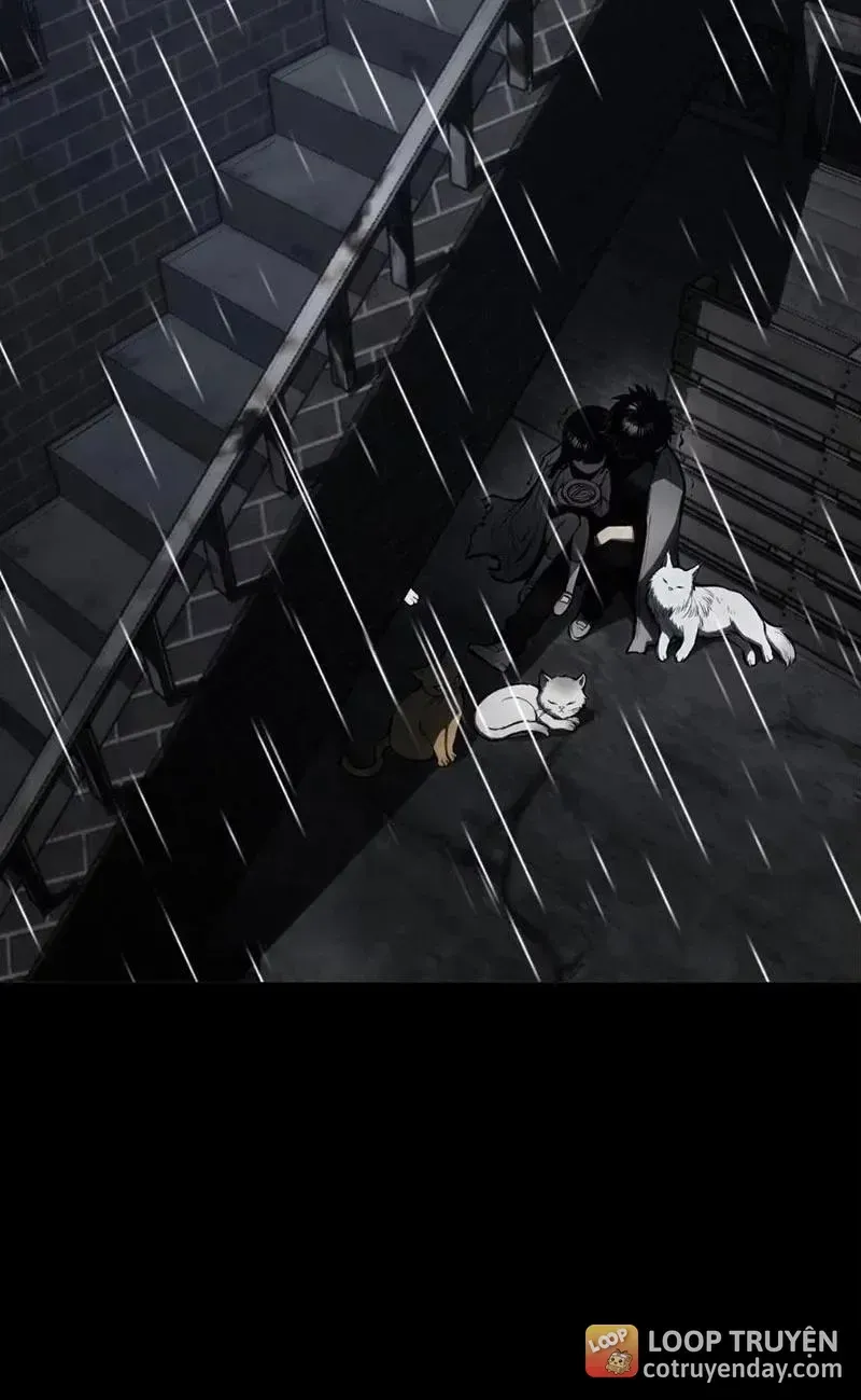 Chapter 47 - Trang 22