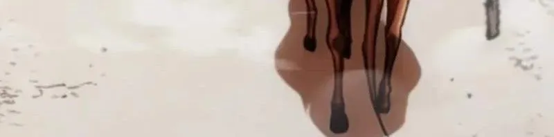 Bảo Tiêu Lập Dị - Chap 2 - Trang 149