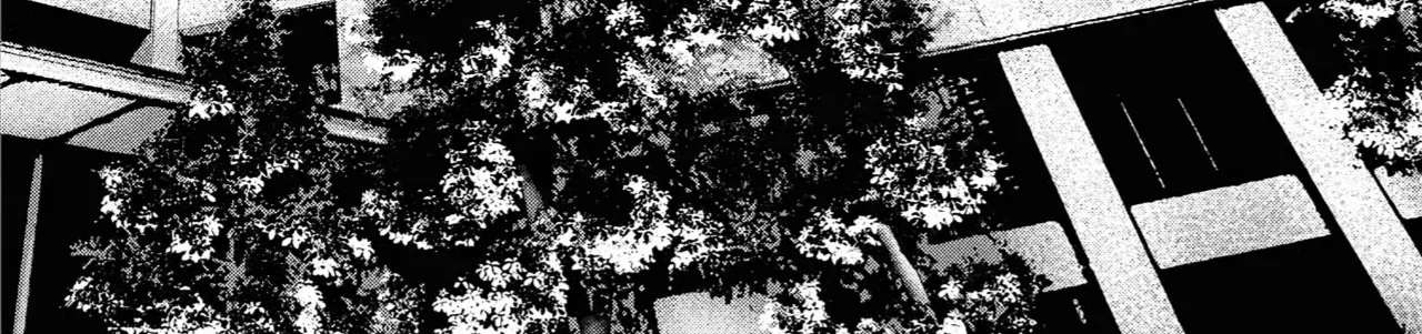 Chapter 38 - Trang 35