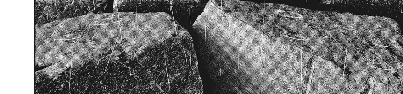 Chapter 43 - Trang 15