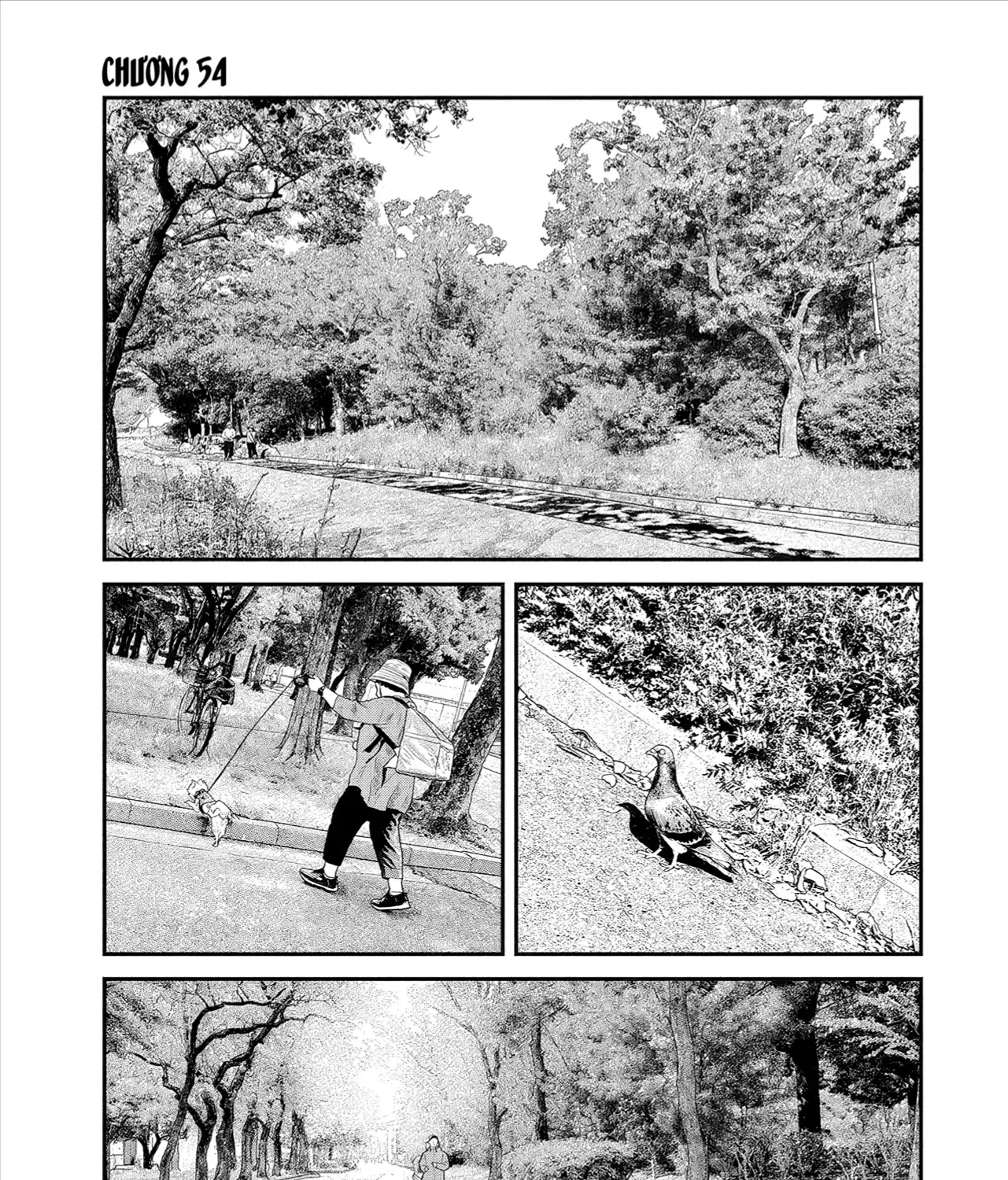 Chapter 54 - Trang 4