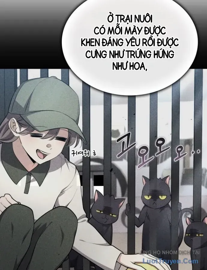 Chapter 47 - Trang 39