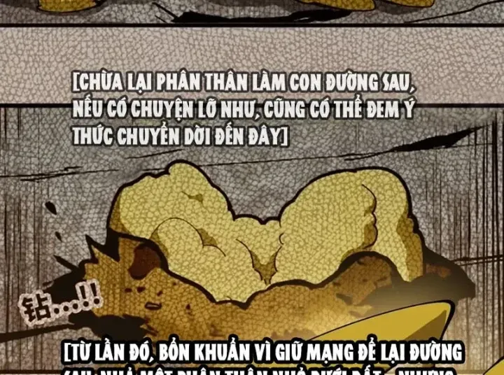 Trang 100