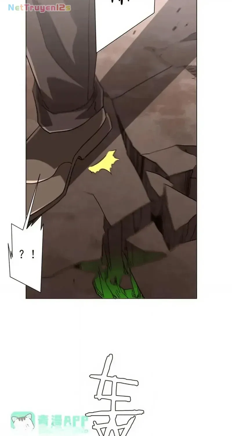 Chapter 310 - Trang 13