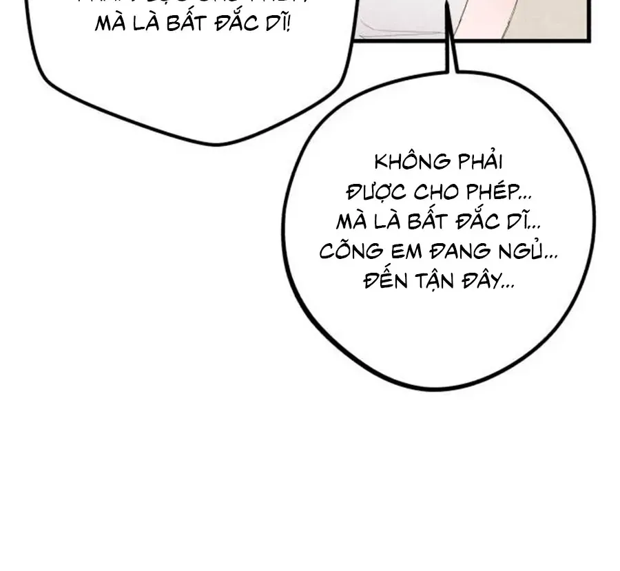 Chapter 26 - Trang 21